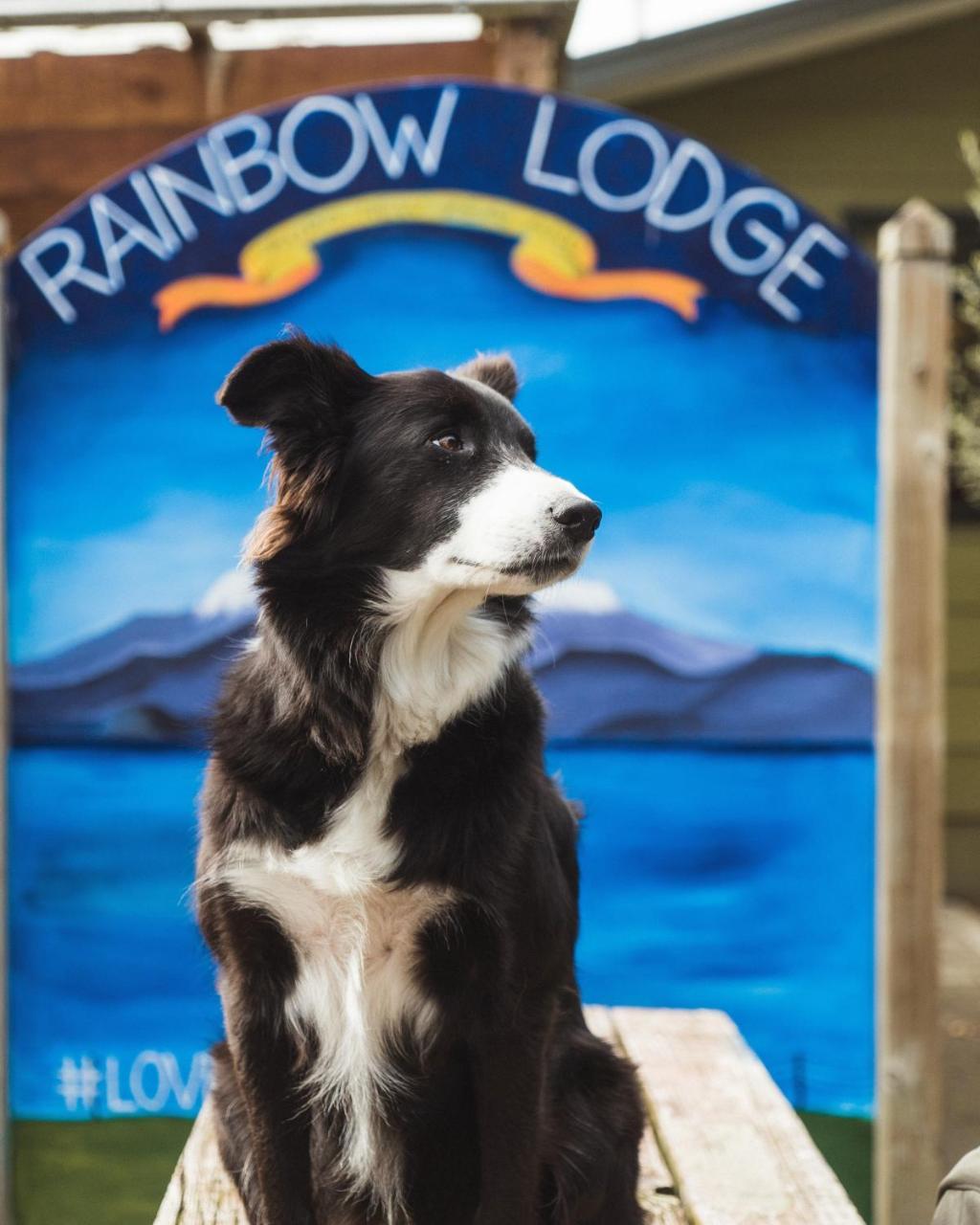אגם טאופו Rainbow Lodge Backpackers מראה חיצוני תמונה